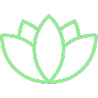 Lotus illustrator icon